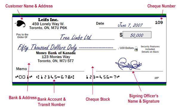 How to Write a Cheque in Canada | Best Blog