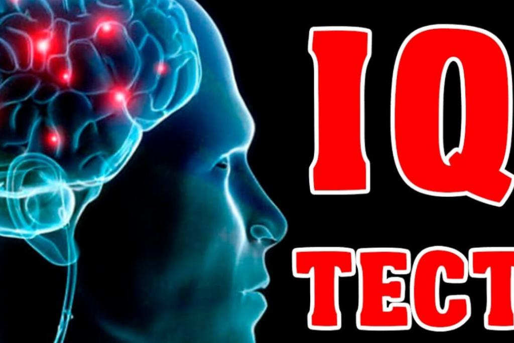 IQ Test Results