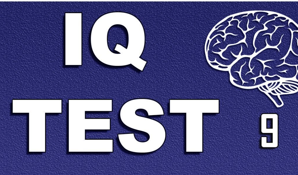 IQ Test Results